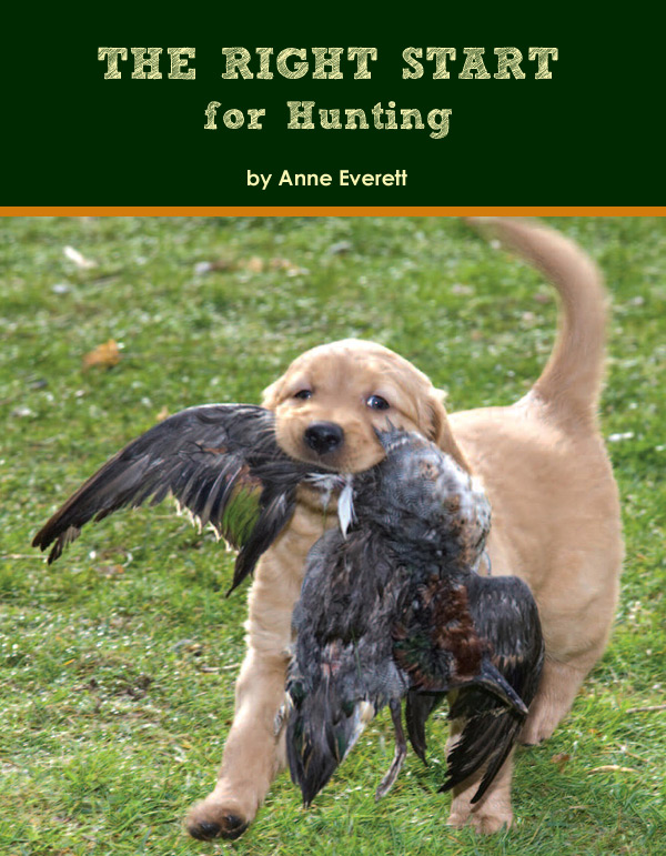 The Right Start for Hunting