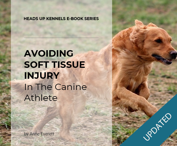 Avoiding Soft Tissue Injury in the Canine Athlete